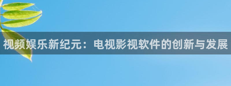 飞马影视电影：视频娱乐新纪元：电视影视软件的创新与发展