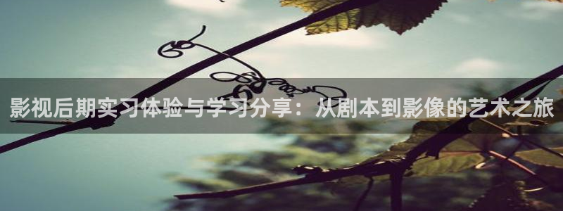 飞马影院下载安装：影视后期实习体验与学习分享：从剧本到影像的艺术之旅