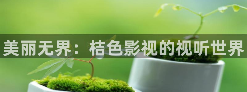 飞马影院在线观看：美丽无界：桔色影视的视听世界