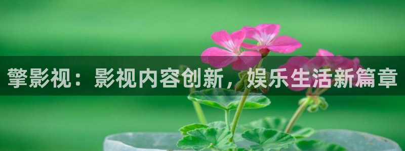 飞马影视：擎影视：影视内容创新，娱乐生活新篇章