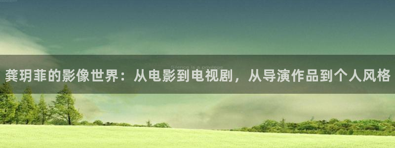 飞马影院：龚玥菲的影像世界：从电影到电视剧，从导演作品到个人风格