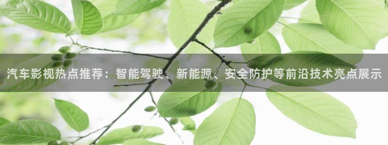 飞马影院app：汽车影视热点推荐：智能驾驶、新能源、安全防护等前沿技术亮点展示
