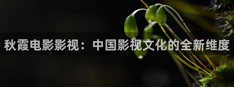 飞马良子影视有限公司：秋霞电影影视：中国影视文化的全新维度