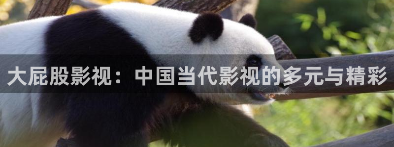飞马影院免费下载：大屁股影视：中国当代影视的多元与精彩